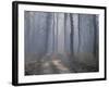 Landscape, Kanha National Park, India-Art Wolfe-Framed Photographic Print