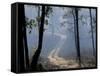 Landscape, Kanha National Park, India-Art Wolfe-Framed Stretched Canvas