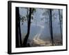 Landscape, Kanha National Park, India-Art Wolfe-Framed Photographic Print