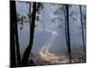 Landscape, Kanha National Park, India-Art Wolfe-Mounted Photographic Print