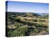 Landscape, Languedoc-Roussillon, France-David Hughes-Stretched Canvas