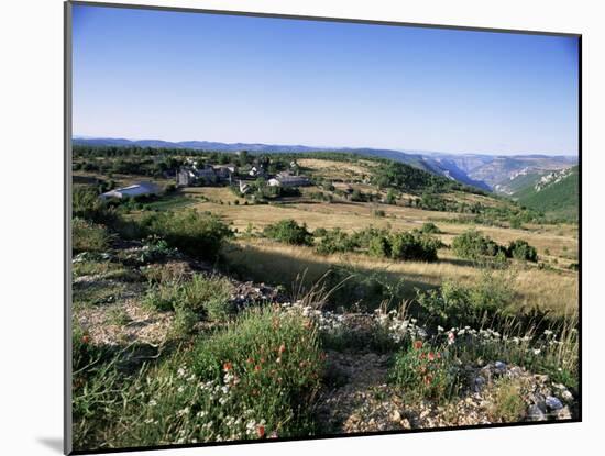 Landscape, Languedoc-Roussillon, France-David Hughes-Mounted Photographic Print