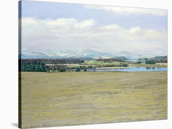 Landscape: Loch Lomond, 2002-Ben Henriques-Stretched Canvas