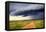 Landscape, Maasai Mara National Reserve, Kenya-Ivan Vdovin-Framed Stretched Canvas