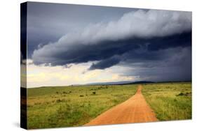 Landscape, Maasai Mara National Reserve, Kenya-Ivan Vdovin-Stretched Canvas