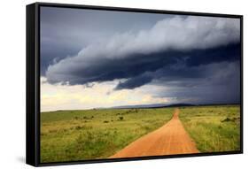 Landscape, Maasai Mara National Reserve, Kenya-Ivan Vdovin-Framed Stretched Canvas