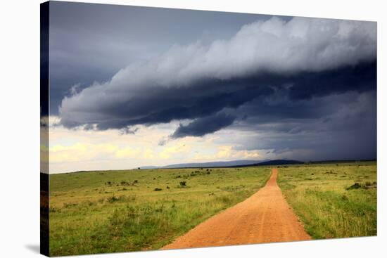 Landscape, Maasai Mara National Reserve, Kenya-Ivan Vdovin-Stretched Canvas