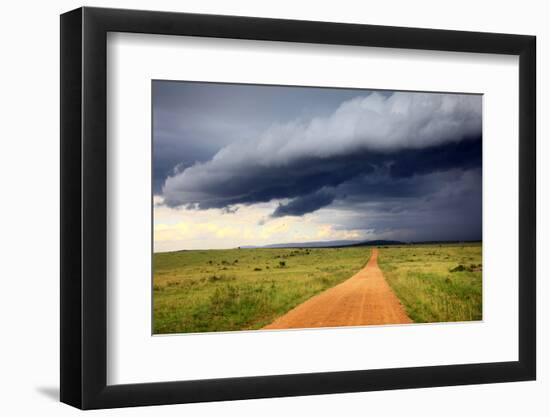 Landscape, Maasai Mara National Reserve, Kenya-Ivan Vdovin-Framed Photographic Print