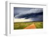 Landscape, Maasai Mara National Reserve, Kenya-Ivan Vdovin-Framed Photographic Print