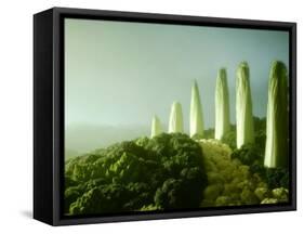 Landscape Made of Green Vegetables-Hartmut Seehuber-Framed Stretched Canvas