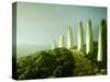 Landscape Made of Green Vegetables-Hartmut Seehuber-Stretched Canvas