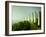 Landscape Made of Green Vegetables-Hartmut Seehuber-Framed Photographic Print