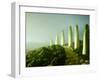 Landscape Made of Green Vegetables-Hartmut Seehuber-Framed Photographic Print