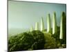 Landscape Made of Green Vegetables-Hartmut Seehuber-Mounted Photographic Print