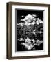 Landscape Mirror, Central Park, Conservatory Water, Manhattan, New York, White Frame-Philippe Hugonnard-Framed Art Print