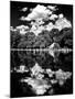 Landscape Mirror, Central Park, Conservatory Water, Manhattan, New York-Philippe Hugonnard-Mounted Premium Photographic Print