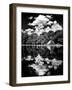 Landscape Mirror, Central Park, Conservatory Water, Manhattan, New York-Philippe Hugonnard-Framed Photographic Print