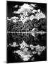 Landscape Mirror, Central Park, Conservatory Water, Manhattan, New York-Philippe Hugonnard-Mounted Photographic Print