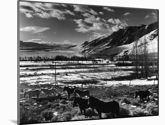 Landscape, Mono Lake, 1949-Brett Weston-Mounted Premium Photographic Print