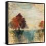 Landscape Monotype II-Silvia Vassileva-Framed Stretched Canvas