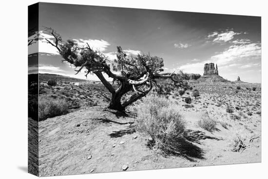 Landscape - Monument Valley - Utah - United States-Philippe Hugonnard-Stretched Canvas