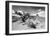 Landscape - Monument Valley - Utah - United States-Philippe Hugonnard-Framed Photographic Print