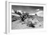 Landscape - Monument Valley - Utah - United States-Philippe Hugonnard-Framed Photographic Print