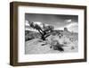 Landscape - Monument Valley - Utah - United States-Philippe Hugonnard-Framed Photographic Print