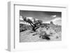 Landscape - Monument Valley - Utah - United States-Philippe Hugonnard-Framed Photographic Print