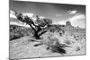 Landscape - Monument Valley - Utah - United States-Philippe Hugonnard-Mounted Photographic Print