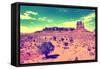 Landscape - Monument Valley - Utah - United States-Philippe Hugonnard-Framed Stretched Canvas