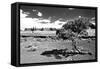 Landscape - Monument Valley - Utah - United States-Philippe Hugonnard-Framed Stretched Canvas