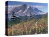 Landscape, Mount Rainier National Park, Washington State, United States of America, North America-Colin Brynn-Stretched Canvas