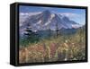 Landscape, Mount Rainier National Park, Washington State, United States of America, North America-Colin Brynn-Framed Stretched Canvas