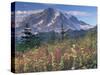 Landscape, Mount Rainier National Park, Washington State, United States of America, North America-Colin Brynn-Stretched Canvas