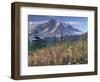 Landscape, Mount Rainier National Park, Washington State, United States of America, North America-Colin Brynn-Framed Photographic Print