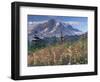 Landscape, Mount Rainier National Park, Washington State, United States of America, North America-Colin Brynn-Framed Photographic Print