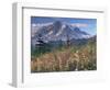 Landscape, Mount Rainier National Park, Washington State, United States of America, North America-Colin Brynn-Framed Photographic Print