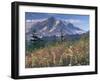 Landscape, Mount Rainier National Park, Washington State, United States of America, North America-Colin Brynn-Framed Photographic Print