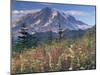 Landscape, Mount Rainier National Park, Washington State, United States of America, North America-Colin Brynn-Mounted Photographic Print