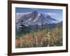 Landscape, Mount Rainier National Park, Washington State, United States of America, North America-Colin Brynn-Framed Photographic Print