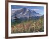 Landscape, Mount Rainier National Park, Washington State, United States of America, North America-Colin Brynn-Framed Photographic Print