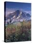 Landscape, Mount Rainier National Park, Washington State, United States of America, North America-Colin Brynn-Stretched Canvas