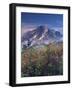 Landscape, Mount Rainier National Park, Washington State, United States of America, North America-Colin Brynn-Framed Photographic Print