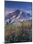 Landscape, Mount Rainier National Park, Washington State, United States of America, North America-Colin Brynn-Mounted Photographic Print