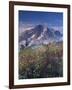 Landscape, Mount Rainier National Park, Washington State, United States of America, North America-Colin Brynn-Framed Photographic Print