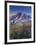 Landscape, Mount Rainier National Park, Washington State, United States of America, North America-Colin Brynn-Framed Photographic Print