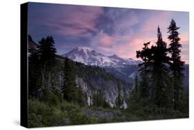 Landscape, Mount Rainier National Park, Washington State, United States of America, North America-Colin Brynn-Stretched Canvas