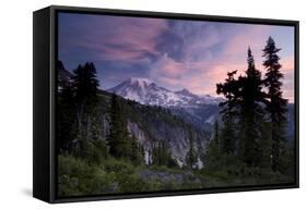 Landscape, Mount Rainier National Park, Washington State, United States of America, North America-Colin Brynn-Framed Stretched Canvas