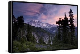 Landscape, Mount Rainier National Park, Washington State, United States of America, North America-Colin Brynn-Framed Stretched Canvas